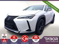 Gebraucht Lexus UX 250h Launch Edition 184 PS (135 kW) 2019 Weiss SUV