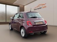 Gebraucht Fiat 500 Lounge 69 PS (50 kW) 2020 Violet Kleinwagen
