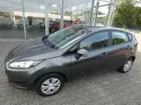 Gebraucht Ford Fiesta Trend 82 PS (60 kW) 2016 Grau Kleinwagen