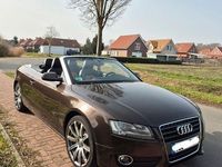 Gebraucht Audi A5 Cabriolet 211 PS (155 kW) 2010 Braun Cabrio