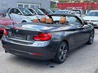 Gebraucht BMW 218 136 PS (100 kW) 2018 Mineralgrau metallic(b39) Cabrio