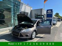 Gebraucht Ford Focus Trend 101 PS (74 kW) 2014 Brisbane braun (met.) (metallic) Limousine