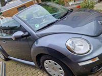 gebraucht VW Beetle NewFreestyle