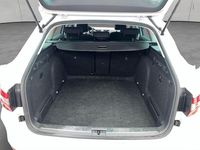 Gebraucht Skoda Superb Ambition 150 PS (110 kW) 2023 Moonweiß perleffekt Kombi