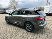 Gebraucht Ford Kuga ST-Line X 150 PS (110 kW) 2024 Magneticgrau (metallic) SUV