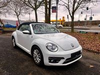 Gebraucht VW Beetle Cabriolet Design 105 PS (77 kW) 2018 Weiß Cabrio