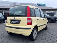 Gebraucht Fiat Panda Active 54 PS (39 kW) 2005 Gelb Kleinwagen