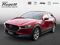 Gebraucht Mazda CX-30 Selection 122 PS (89 kW) 2020 Rot SUV