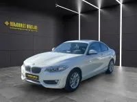 Gebraucht BMW 218 Advantage 136 PS (100 kW) 2016 Alpinweiss iii Coupé