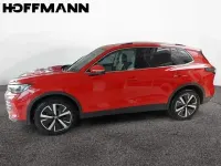 Gebraucht VW Tiguan Elegance 150 PS (110 kW) 2024 Persimmon red metallic SUV