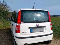 gebraucht Fiat Panda 1.1 TÜV 54ps weiß So+ Wi Reifen Felgen fahrtauglich