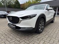 Gebraucht Mazda CX-30 179 PS (131 kW) 2021 Snowflake white pearl SUV