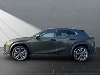 Gebraucht Lexus UX 250h 184 PS (135 kW) 2023 Terrane khaki SUV