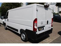 Neu Opel Movano 140 PS (102 kW) 2025 Weiss Van