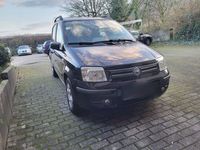 gebraucht Fiat Panda 1.2 mit Tüv