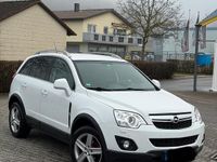 Gebraucht Opel Antara Cosmo 170 PS (125 kW) 2016 Weiß SUV