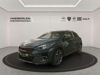Gebraucht Kia XCeed Xdition 160 PS (117 kW) 2023 Grau SUV