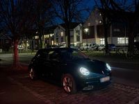 Gebraucht Ora Funky Cat 300 Pro 125 kW (171 PS) 2023 Schwarz Kleinwagen