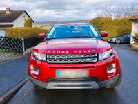 Gebraucht Land Rover Range Rover evoque Pure 150 PS (110 kW) 2013 Rot SUV