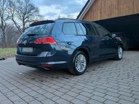 Gebraucht VW Golf VII Cup 105 PS (77 kW) 2015 Blau Kombi
