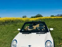 Gebraucht Mini Cooper Cabriolet 115 PS (84 kW) 2006 Weiß Cabrio
