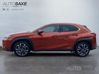 gebraucht Lexus UX 250h Style Edition *CarPlay*LED*PDC*SHZ*