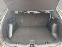 Gebraucht Ford Kuga ST-Line 151 PS (111 kW) 2024 Grau SUV