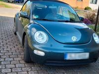 gebraucht VW Beetle 