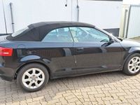 gebraucht Audi A3 Cabriolet 1.6 TDI Attraction Attraction