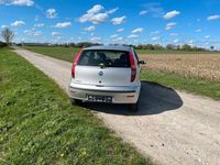 gebraucht Fiat Punto 