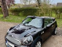 Gebraucht Mini Cooper Cabriolet 122 PS (89 kW) 2013 Braun Cabrio