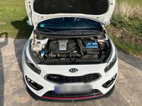 Gebraucht Kia ProCeed GT-Challenge 204 PS (150 kW) 2014 Weiß Kleinwagen