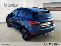 Gebraucht Ford Fiesta Active 101 PS (74 kW) 2022 Grau Kleinwagen