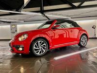 Gebraucht VW Beetle Cabriolet Sound 105 PS (77 kW) 2018 Rot Cabrio