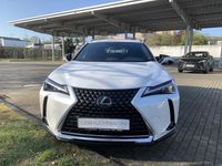 Gebraucht Lexus UX 250h 184 PS (135 kW) 2023 Weiß SUV