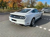 gebraucht Ford Mustang Ecoboost