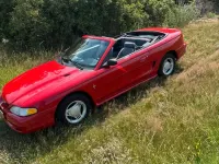 Gebraucht Ford Mustang 144 PS (105 kW) 1996 Rot Cabrio