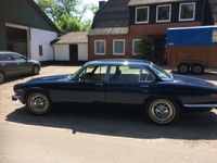 gebraucht Jaguar XJ12 