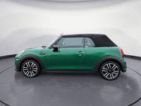 Gebraucht Mini Cooper Cabriolet Classic 136 PS (100 kW) 2023 Grün Cabrio