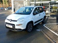 Gebraucht Fiat Panda City Life 69 PS (50 kW) 2022 Weiß Limousine