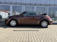 Gebraucht VW Beetle Cabriolet Allstar 150 PS (110 kW) 2016 Bronze metallic Cabrio