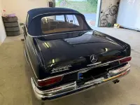 Gebraucht Mercedes W112 SE 170 PS (125 kW) 1966 Blau Cabrio