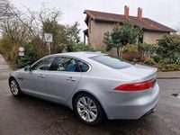 Gebraucht Jaguar XF Chequered Flag 300 PS (220 kW) 2019 Silber Limousine