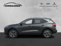 Gebraucht Ford Kuga ST-Line X 224 PS (164 kW) 2024 Grau SUV