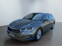 Gebraucht Skoda Octavia Style 150 PS (110 kW) 2024 Graphitegrau Kombi