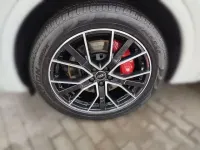 Gebraucht Audi SQ5 Ambiente 341 PS (250 kW) 2023 Gletscherweiß metallic SUV