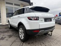 Gebraucht Land Rover Range Rover evoque 190 PS (139 kW) 2013 Weiß SUV