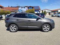 Gebraucht Opel Grandland X Edition 131 PS (96 kW) 2020 Mondstein grau/e:vulkan grau SUV