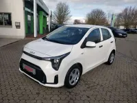 Neu Kia Picanto 68 PS (50 kW) 2025 Weiß Kleinwagen