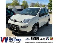 Gebraucht Fiat Panda 69 PS (50 kW) 2023 Weiss) (weiss Kleinwagen
